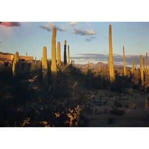 Kodak Slide 35mm 1940s Red Border, Hacienda del Sol Guest Ranch Resort in Tucson